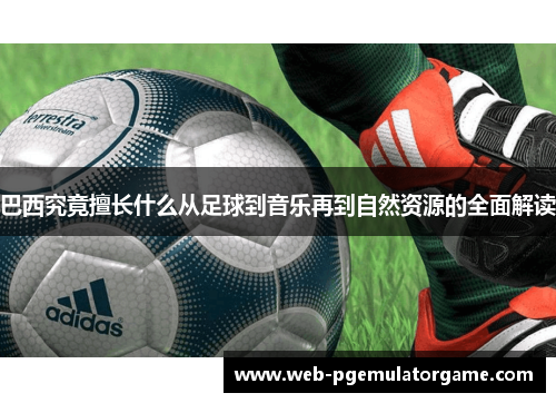 巴西究竟擅长什么从足球到音乐再到自然资源的全面解读